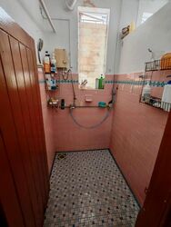 Tiong Bahru Estate (D3), Apartment #455652661